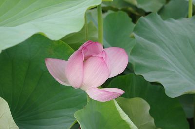 t_IMGP3077.jpg
